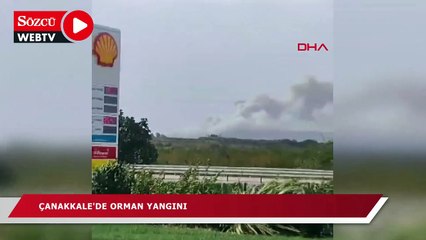 Çanakkale'de orman yangını