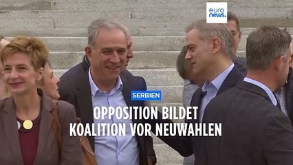 Serbische pro-europäische Opposition bildet Bündnis vor Neuwahlen