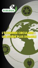 L'économie circulaire : un avenir plus durable