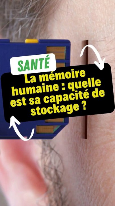 La mémoire humaine : quelle est sa capacité de stockage ?