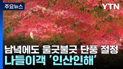 남녘에도 울긋불긋 단풍 절정...나들이객 인산인해 / YTN