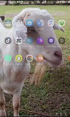 How to make a goanimate account