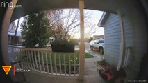 Trick or Treater Trips and Pretends It Was a Push-Up Caught on Ring Camera | Doorbell Camera Video
