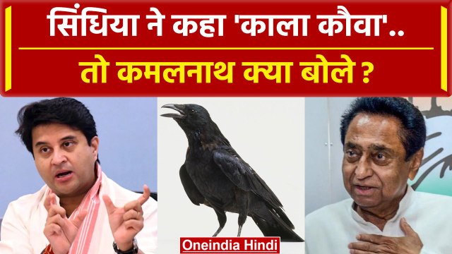 Kamal Nath ने Jyotiraditya Scindia के काला कौवा बयान पर क्या कहा | MP Election 2023 | वनइंडिया हिंदी