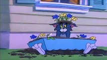 Cartoons For Kids Slicked-up Pup Tom And Jerry English Ep. - Safety Second   - Cartoons For Ki