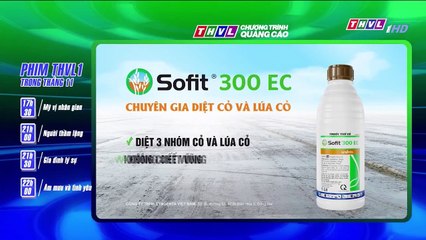 KẾ HOẠCH HOÀN HẢO - TẬP 39 - PHIM VIỆT NAM THVL1 - XEM PHIM KE HOACH HOAN HAO TAP 40