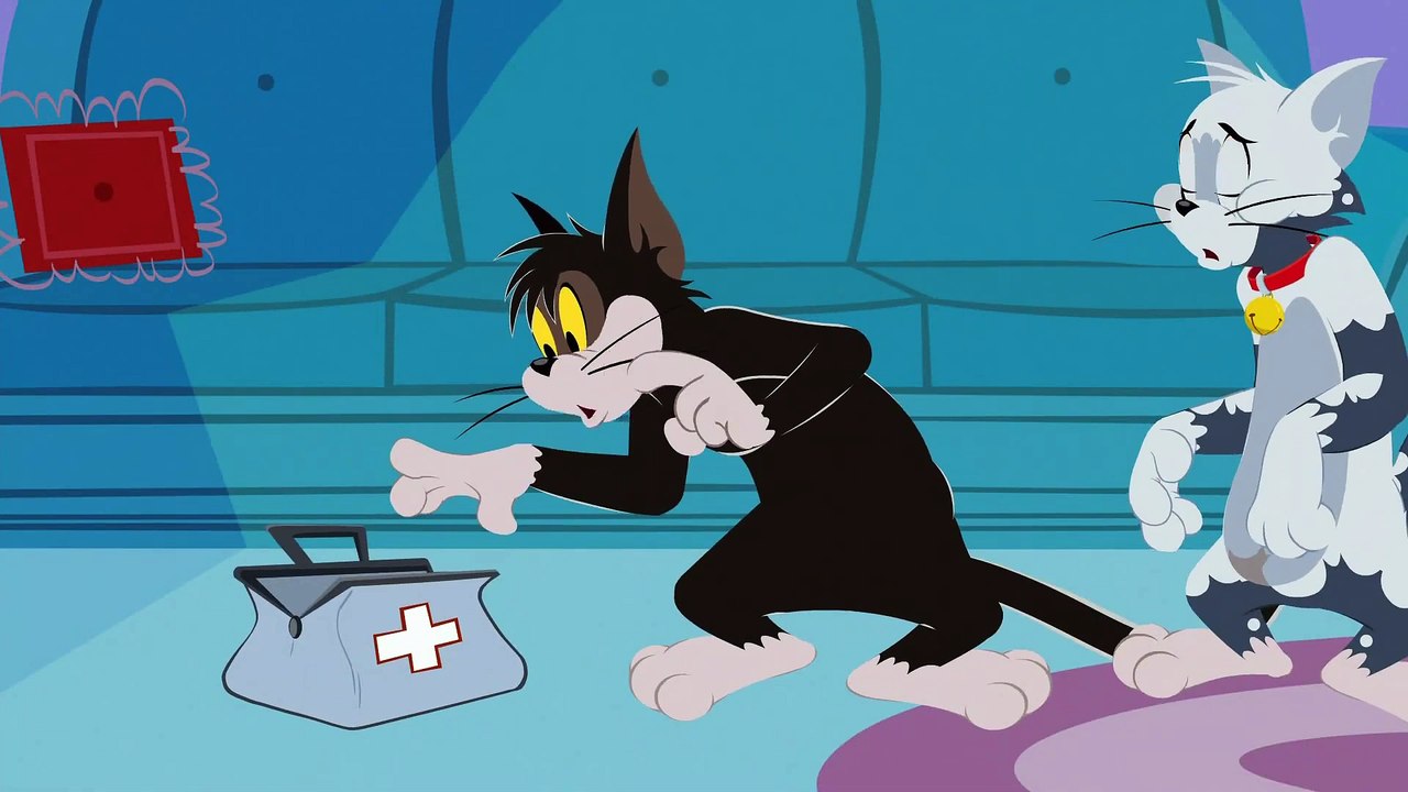 Tom and Jerry Show S 01 E 18 B TOM FOOLERY LOOcaa video Dailymotion