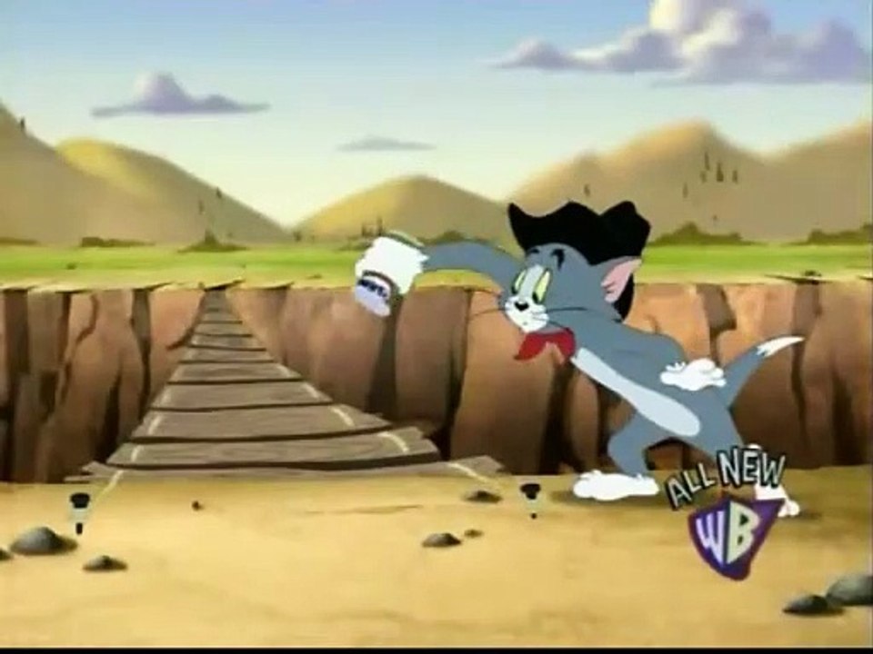 Tom and Jerry Tales 24 Karat Kat 2007 Funny animals cartoons for