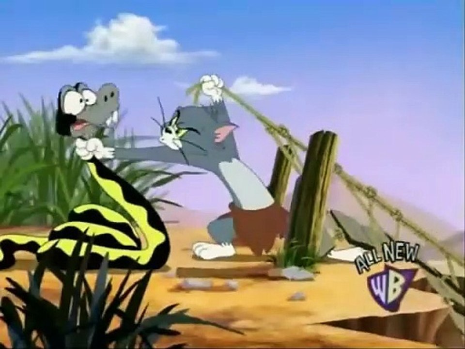 Tom and Jerry Tales Jungle Love 2007 Funny animals cartoons for