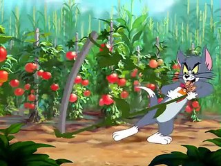 Tom and Jerry Tales - Summer Squashing 2007 - Funny animals cartoons for kids
