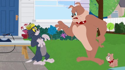 Tom and Jerry Show S 01 E 12 D - DOG DAZE _L00caa_