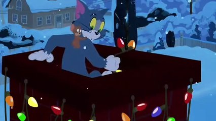 Tom and Jerry Show S 01 E 07 C - CAT NIPPY _LOOcaa_