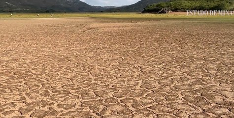 Fontes de água em Minas estão secando