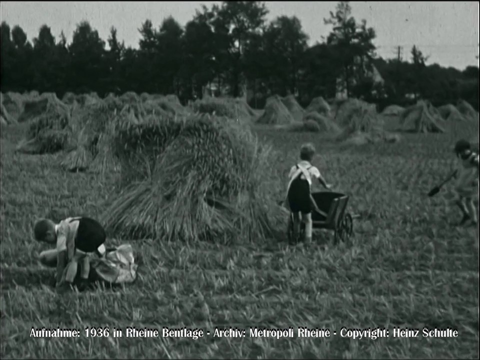 7511 Kartoffeln pfanzen (Kinder)