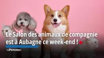 Aubagne : le Salon des animaux de compagnie se poursuit dimanche 5 novembre