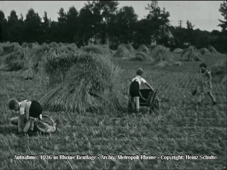 110 Kartoffeln pfanzen (Kinder)