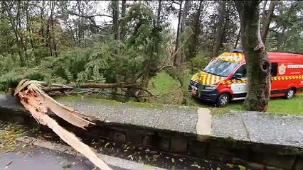Actuación de Bomberos de Burgos en la borrasca Domingos