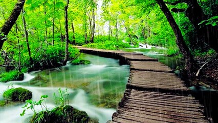 Em ve keo troi mua - Truong Son-Luu Anh Loan