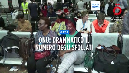 Le notizie del giorno | 04 novembre - Serale