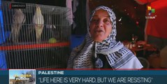 Palestinians demonstrate their resilience in the face of Israeli barbarism in Gaza