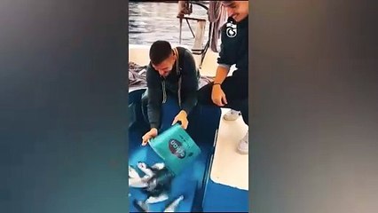 L'ont-ils tourné avant le match ? Trabzonspor a diffusé la vidéo de pêche de Dusan Tadic d'une manière complètement différente