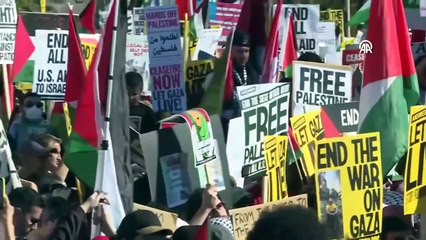 Manifestation de soutien à la Palestine à Washington