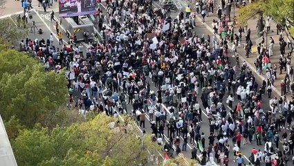 Thousands rally in DC in support of Palestinians and ceasefire in Gaza