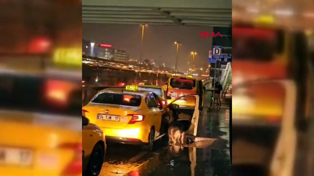 Yağmurdan kaçan köpek taksiye sığındı