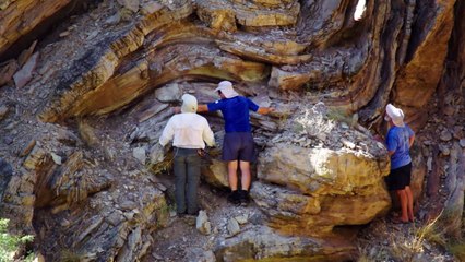 Is Genesis History? Mountains After the Flood | movie | 2023 | Official Trailer