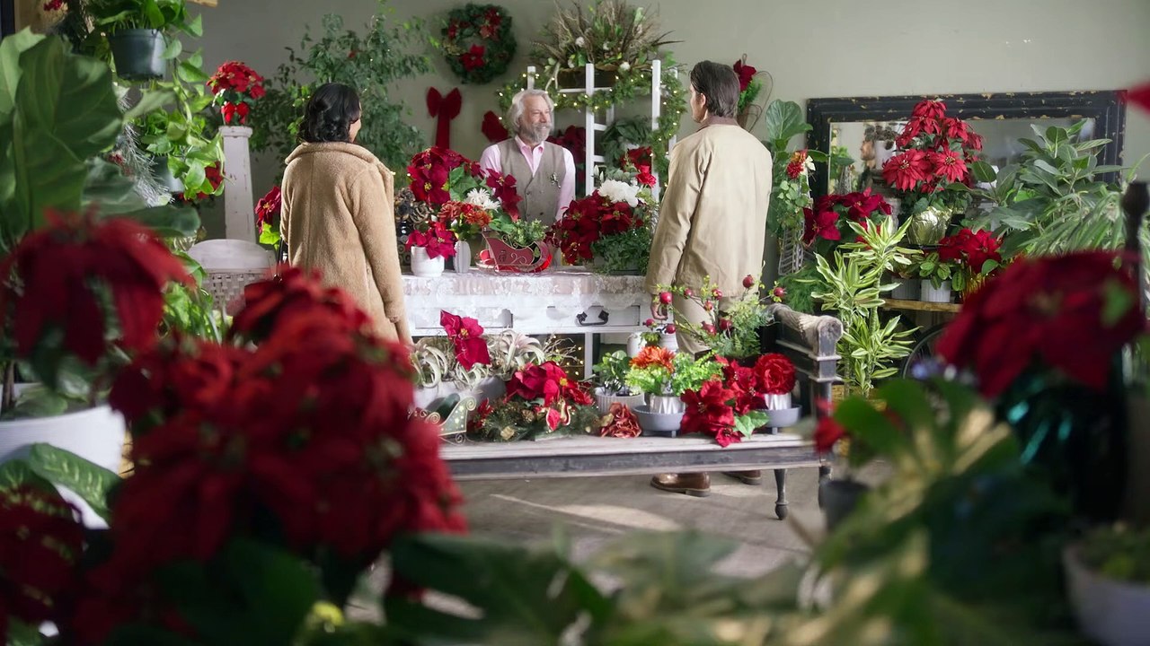 YULETIDE THE KNOT Trailer