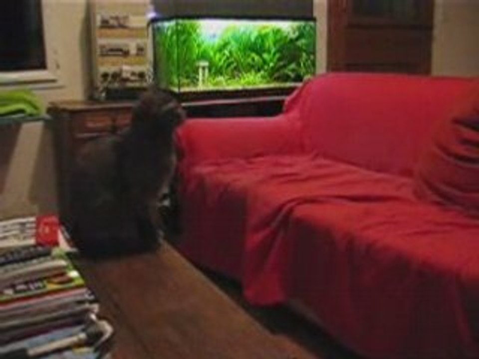 keiro - fin 2007 - début 2008