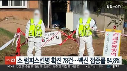 소 럼피스킨병 확진 78건…백신 접종률 84.8%