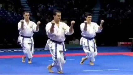 One of The KARATE Moves : KATA n APPLlCATION