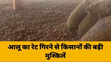 गाजीपुर: आलू का रेट गिरने से किसानों की बढ़ी मुश्किलें, इस काम के लिए मजबूर किसान