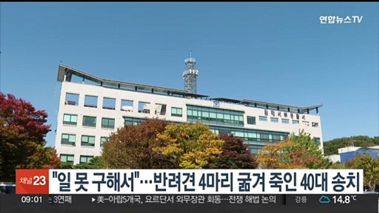 "직장 못 구해서"…반려견 4마리 굶겨 죽인 40대 송치