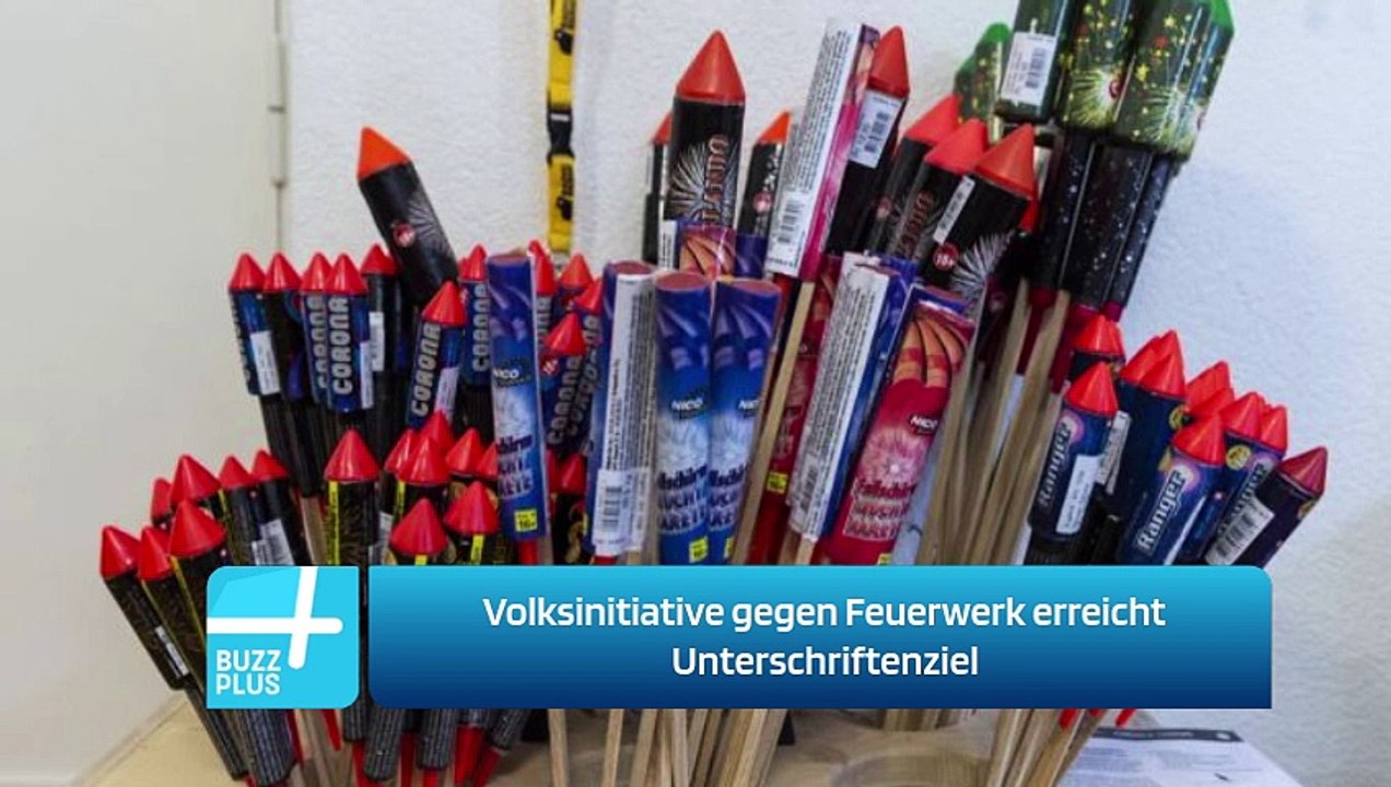 Volksinitiative gegen Feuerwerk erreicht Unterschriftenziel