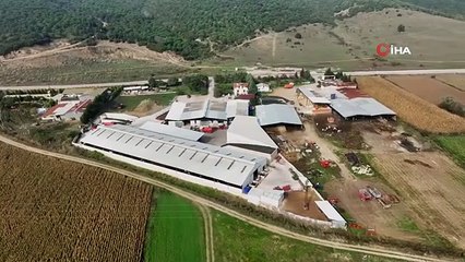 Production de viande bon marché et naturelle des frères de Bursa