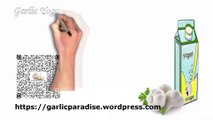 GARLIC PARADISE: Step-by-Step Guide to Homemade Garlic Yogurt With Remarkable Health Benefits