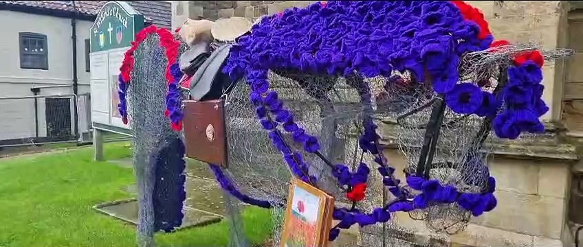 Knitting nannies unveil war horse made of poppies ahead of Remembrance Day