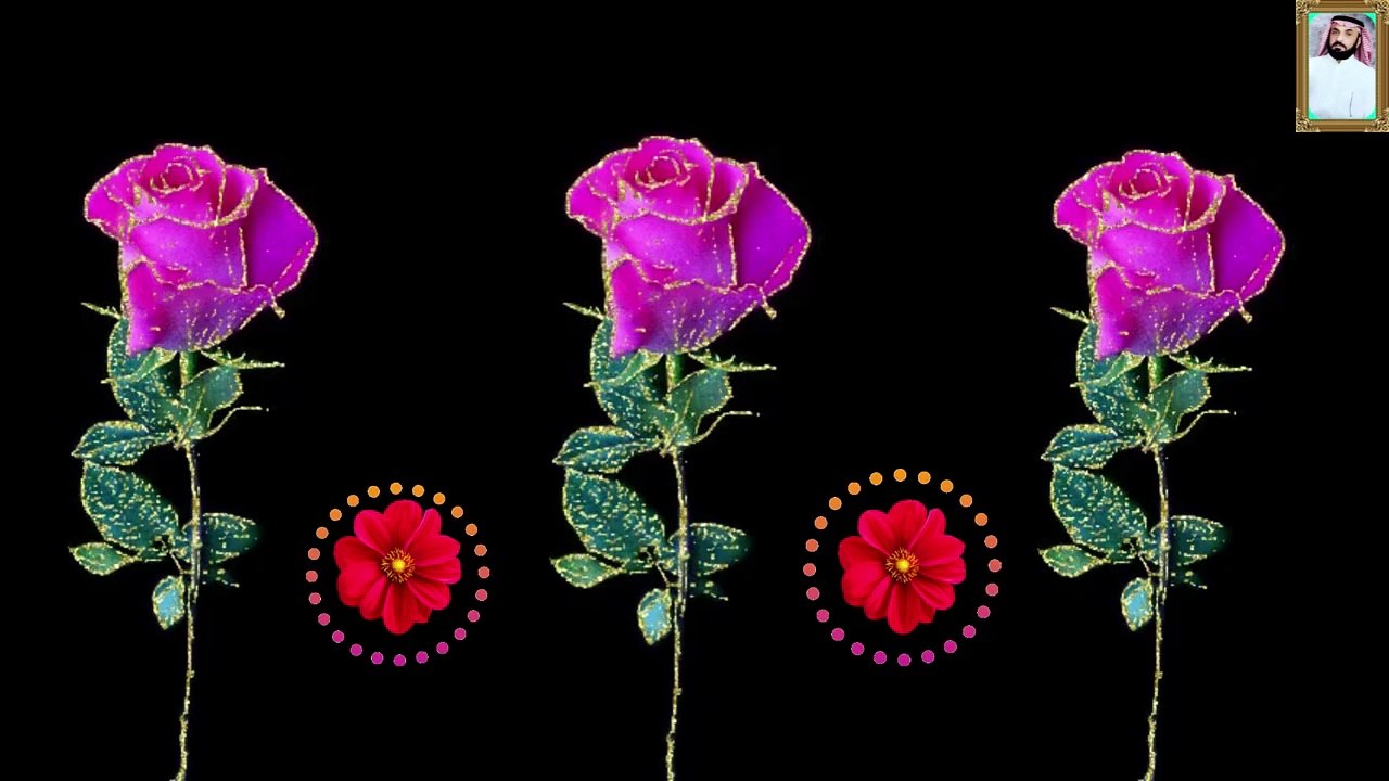 تلاوة قرآنية مريحة جدا بصوت يبكي