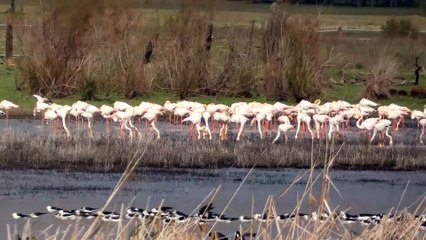 Imagen actual de la Dehesa de Abajo tras las lluvias