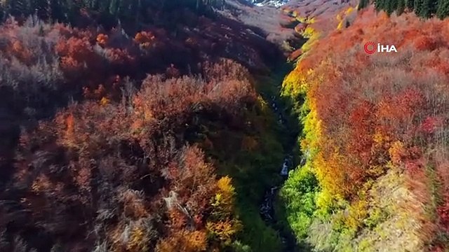 C'est ainsi que les couleurs d'automne étaient affichées à Şavşat