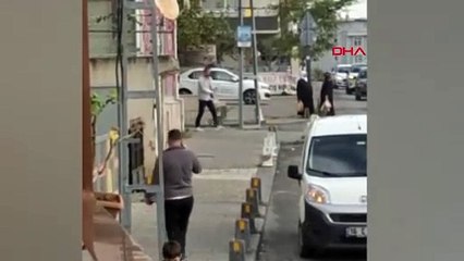 Kartal'da Sürücü Yavru Kediyi Ezilmekten Kurtardı