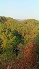 Pemandangan memanjakan mata