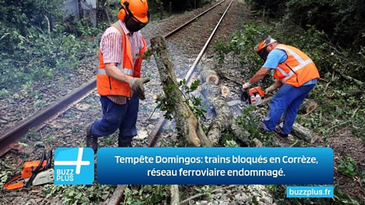 Tempête Domingos: trains bloqués en Corrèze, réseau ferroviaire endommagé.