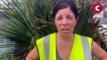 La carcasse d'un cétacé échouée au large de Terre-Sainte