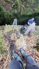 Lamb Rescued From Deep Ravine