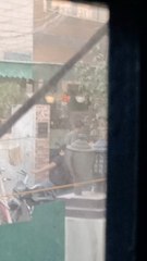 pagal ho gaya Kamal yadav