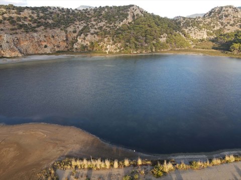 Caretta carettalar mavi sularla buluştu