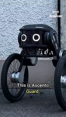Robot Security Guard
